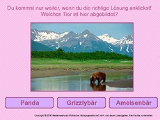 Tiere-5.pdf